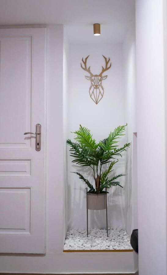 Coban Residence - A3 - Scandinavian Apartment Brašov Exteriér fotografie
